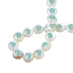 Perline smaltate a conchiglia d'acqua dolce naturale&nbsp;SHEL-N026-191