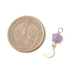 Подвески в форме звезд из синтетического голубого кружевного агата&nbsp;PALLOY-JF04757