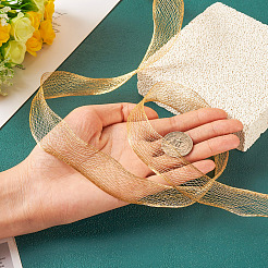 Сетчатая лента 1 м.&nbsp;PNT-TA0001-02C