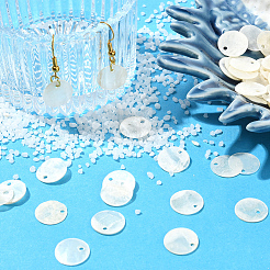 180 шт. подвески из ракушек капиз&nbsp;SHEL-SC0001-89