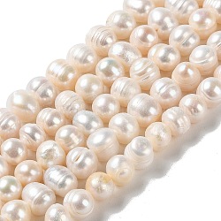 Fili di perle di perle d'acqua dolce coltivate naturali, patata, grado ab, papayawhip, 8~10.5x7.5~8.5mm, Foro: 0.7 mm, circa 45pcs/filo, 13.07'' (33.2 cm)