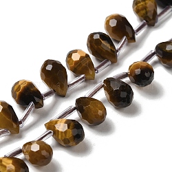 Chapelets de perles d'œil de tigre naturel, facette, top foré, larme, 9~10.5x6~6.5mm, Trou: 0.7mm, Environ 45 pcs/chapelet, 15.59~16.14'' (39.6~41 cm)