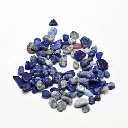 Lapis perline di chip lazuli, pietra burrattata, Senza Buco / undrilled, 5~8x3~4mm, circa 86pcs/20g