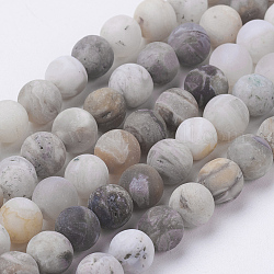 Chapelets de perles en agate de feuille de bambou naturelle, mat, ronde, 6mm, Trou: 0.8mm, Environ 63 pcs/chapelet, 15.3 pouce (39 cm)