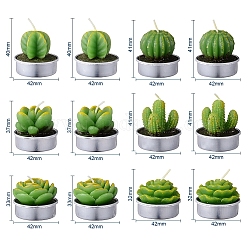 Cactus Paraffin Smokeless Candles, Artificial Succulents Decorative Candles, with Aluminium Containers, for Home Decoration, Green, 15.6x10.3x10.3cm, 12pcs/set