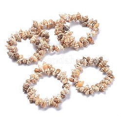 Braccialetti unisex elasticizzati con conchiglia a spirale naturale, braccialetti di perline, conchiglia, 2 pollice (5.05 cm), perline: 11.5~14.5x6.5~9 mm