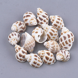 Perles de coquillages en spirale, chameau, 23~32x14~20x12~17mm, Trou: 0.6~1mm