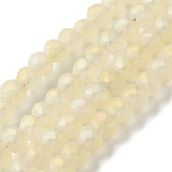 Full Rainbow Plated Faceted Rondelle Glass Beads Strands, Frosted, Champagne Yellow, 4x3mm, Hole: 1mm, about 146pcs/strand, 18.8 inch