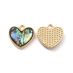 Ottone pendenti shell paua, charms cuore, vero placcato oro 18k, 13x13x2.5mm, Foro: 1.6 mm