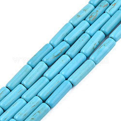 Fili di perline turchese sintetico, tinto, tubo, cielo blu profondo, 13x4mm, Foro: 1 mm, circa 31pcs/filo, 15.9 pollice