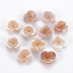 Natural Pink Shell Beads, Flower, 8x8~8.5x2.5~3mm, Hole: 1mm