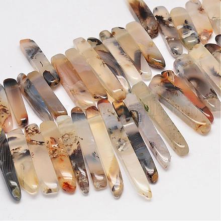 Natural Agate Beads Strands G-E331-15-1