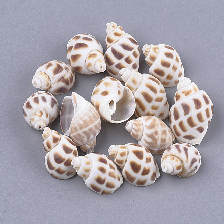 Perles de coquillages en spirale SSHEL-S258-61-1