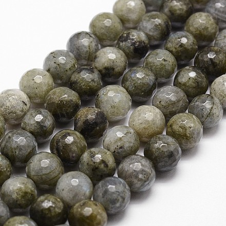 Chapelets de perles en labradorite naturelle  G-G736-04-12mm-1