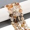 Natural Dendritic Quartz Beads Strands, Faceted Pentagonal Cut, Flat Round, with Seed Beads, 10~10.5x5~6mm, Hole: 1mm, about 32~33pcs/strand, 15.75''(40cm)
