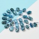 Natural Apatite Beads Strands G-Z040-A07-01-3