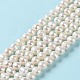 Natural Cultured Freshwater Pearl Beads Strands PEAR-E018-13-2