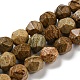 Chapelets de perles en jaspe avec images naturelles G-C085-A02-01-1