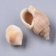 Natural Spiral Shell Beads SSHEL-S258-83-3