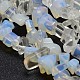 Chip Opalite Beads Strands G-N0134-15-1