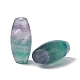 Natural Fluorite Beads G-F711-02-4