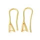 Rack Plating Brass Ear Hooks KK-M269-23G-1