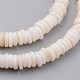 Hebras de perlas shell naturales BSHE-P021-05-3