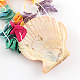 Seashell teñida campanas eólicas AJEW-Q108-01-5
