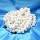 Coquille ovale brins perles de perles BSHE-L013-L-A013A-2