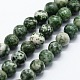 Chapelets de perles en jaspe à pois verts naturels G-I199-30-14mm-1
