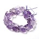 Rough Raw Natural Amethyst Beads Strands G-G010-09-2