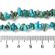 Hebras de cuentas de chip de turquesa natural G-D093-A01-5