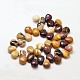 Natural Mookaite Teardrop Beads G-P094-09-2