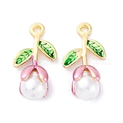 Подвески из эмали и сплава FIND-M060-22G-01