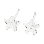 Выводы серьги из смолы FIND-H046-14