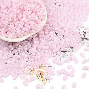 Выпечка краска стеклянные бусины SEED-L011-09A-09