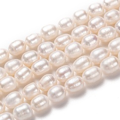Brins de perles de culture d'eau douce naturelles, riz, bisque, 10~11x8~9mm, Trou: 0.8mm, Environ 35 pcs/chapelet, 13.78 pouce (35 cm)