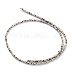 Dalmata naturale perline di diaspro fili&nbsp;G-H255-10