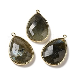Pendentifs en labradorite naturelle facetée&nbsp;X-G-M356-B02-LG