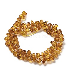 Янтарные шарики нити&nbsp;G-L095-K01-02