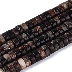 Perline biotite naturale fili&nbsp;G-N367-03A-13