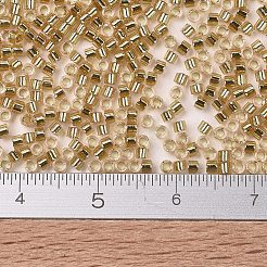 Perline miyuki delica&nbsp;X-SEED-J020-DB2521