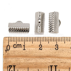 Eisenband Crimp-Enden&nbsp;E005Y