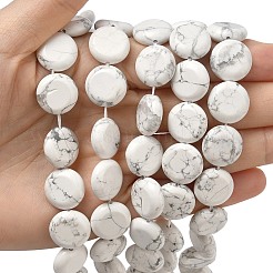 Природные Говлит бисер нитей&nbsp;G-L648-B17-15mm