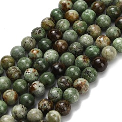 Естественный зеленый опал бисер нитей&nbsp;G-L642-B14-6mm