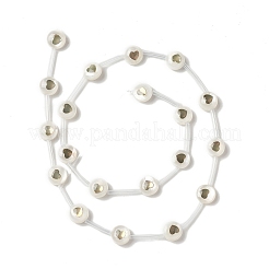 Naturali di acqua dolce perline shell fili&nbsp;BSHE-B005-13C