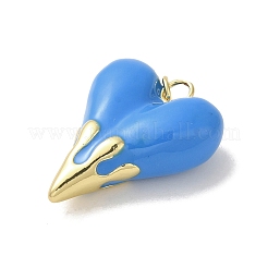 Pendentifs de placage en laiton&nbsp;KK-S366-06G-08