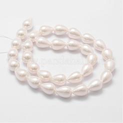 Arcobaleno placcato shell perle perline fili&nbsp;BSHE-L027-01-8x11