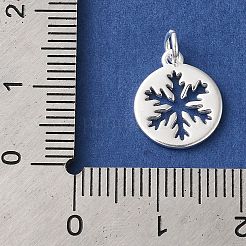 Breloques en 925 argent sterling&nbsp;LS-STER-M120-01E-S