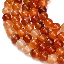 Cuentas de cornalina naturales hebras&nbsp;GG-CBA1CAF-A01-8mm